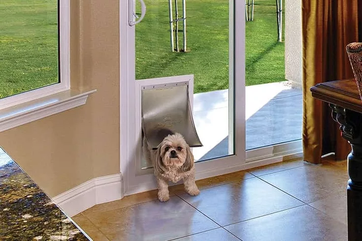 can dogs scratch glass doors